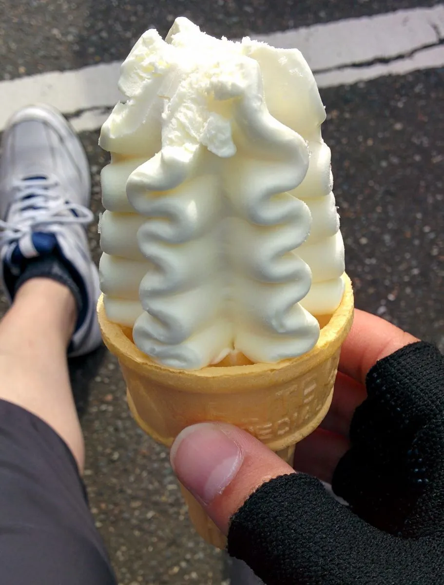 IMG_20170503_085101.jp