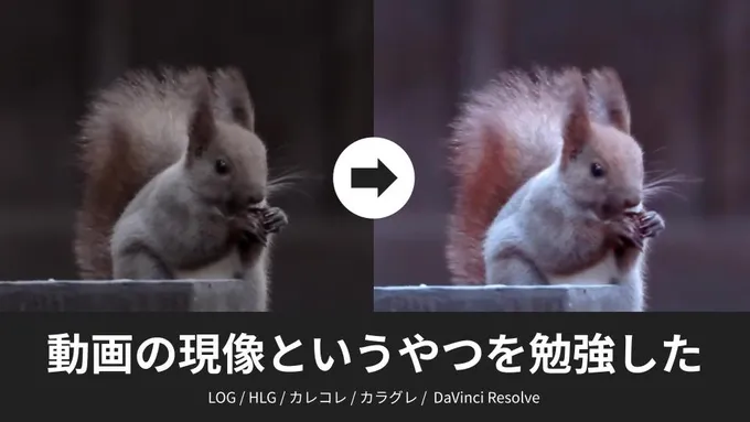 動画の現像というやつを勉強した