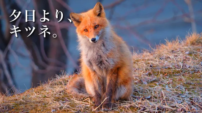 春が訪れようとする釧路地方を、2日間かけて旅をする